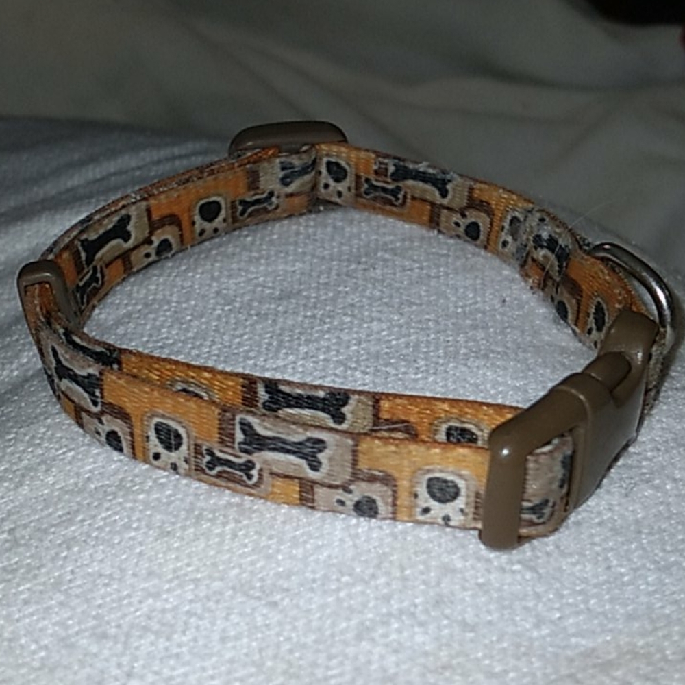 Puppy or sm/dog collar